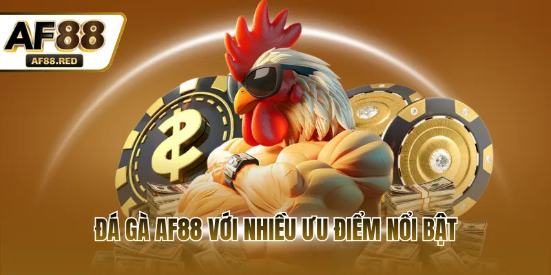 Đá gà AF88 với nhiều ưu điểm nổi bật